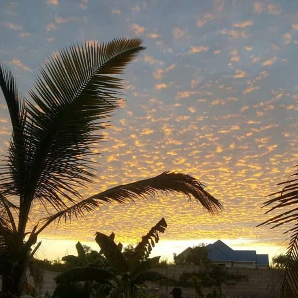 Lucrezia'S Garden Zanzibar Hotell Pwani Mchangani Eksteriør bilde